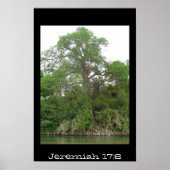 Jeremiah 17:8 poster (Vorne)