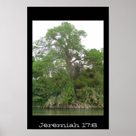 Jeremiah 17:8 poster (Vorne)