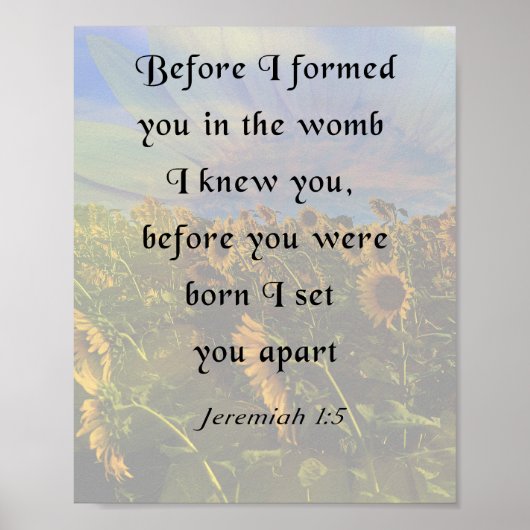 Jeremiah 1:5, Inspirational Bible Verse Poster (Vorne)