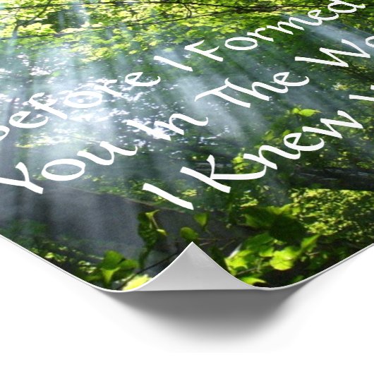 JEREMIAH 1:5 - WOODS POSTER (Ecke)