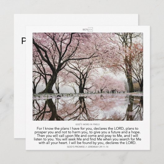 Jeremiah 29:11-14 GOD'S PROMISE SCRIPIX Einladung (Vorne/Hinten)