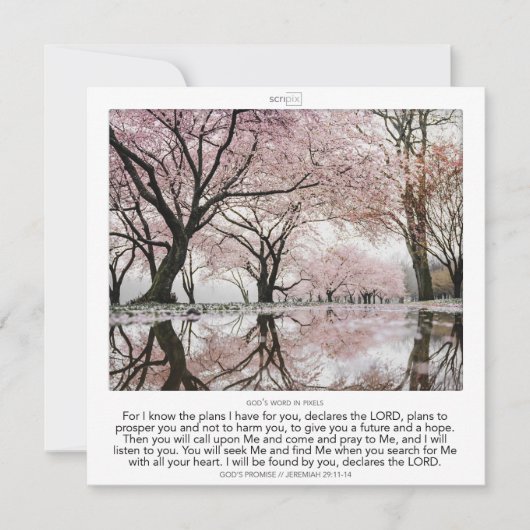 Jeremiah 29:11-14 GOD'S PROMISE SCRIPIX Einladung (Vorderseite)