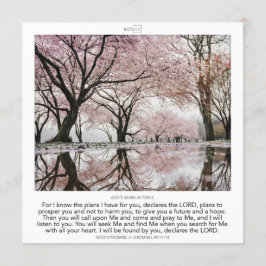 Jeremiah 29:11-14 GOD'S PROMISE SCRIPIX Einladung