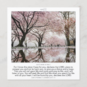 Jeremiah 29:11-14 GOD'S PROMISE SCRIPIX Einladung