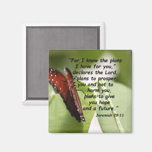 Jeremiah 29:11 (2) magnet (Vorderseite/Rückseite)