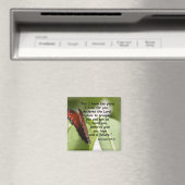 Jeremiah 29:11 (2) magnet (In Situ (Geschirrspüler))