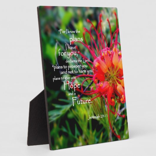 Jeremiah 29:11 a Hoffnung und eine Zukunft Fotoplatte (Seite)