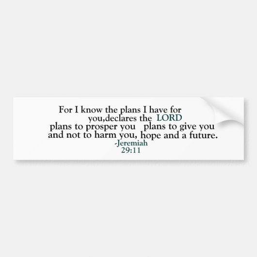 Jeremiah 29:11 autoaufkleber (Vorne)