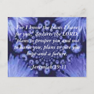 Jeremiah 29:11 Blue Daisy Post Card Postkarte