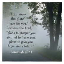 Jeremiah 29:11 Denn ich kenne die Pläne, die ich f