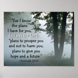 Jeremiah 29:11 Denn ich kenne die Pläne, die ich f Poster