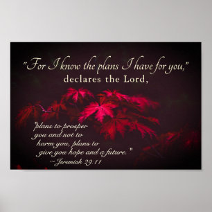 Jeremiah 29:11 Denn ich kenne die Pläne, die ich f Poster