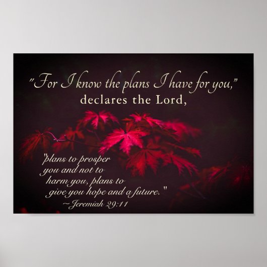 Jeremiah 29:11 Denn ich kenne die Pläne, die ich f Poster (Vorne)