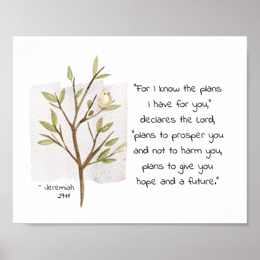 Jeremiah 29:11 Denn ich kenne die Pläne, die ich f Poster (Vorne)