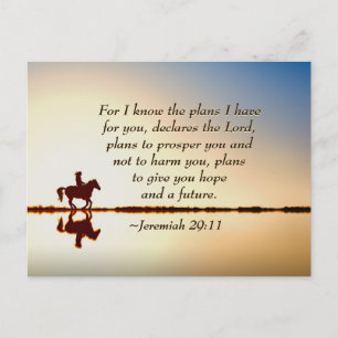 Jeremiah 29:11 Denn ich kenne die Pläne, die ich f Postkarte