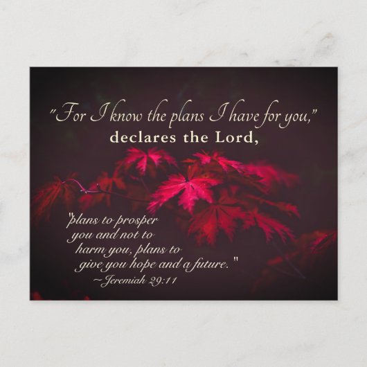 Jeremiah 29:11 Denn ich kenne die Pläne, die ich f Postkarte (Vorderseite)