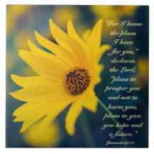 Jeremiah 29:11 Denn ich kenne die Pläne, Wildblume