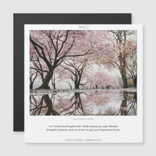 Jeremiah 29:11 GOTTES VERSPRECHENDE SCRIPIX-Magnet Magneteinladung (Vorne/Hinten)