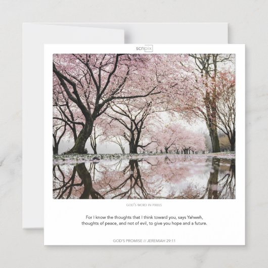 Jeremiah 29:11 GOTTES VERSPRECHENDE SCRIPIX-Magnet Magneteinladung (Vorderseite)