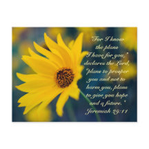 Jeremiah 29:11, ich kenne die Pläne, die ich für S