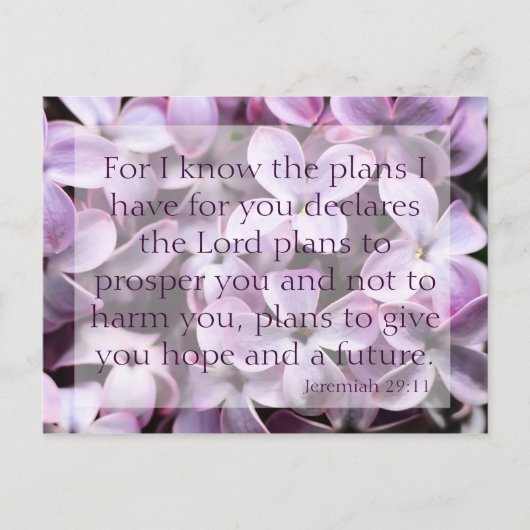 Jeremiah 29:11 Lilacs Postkarte (Vorderseite)