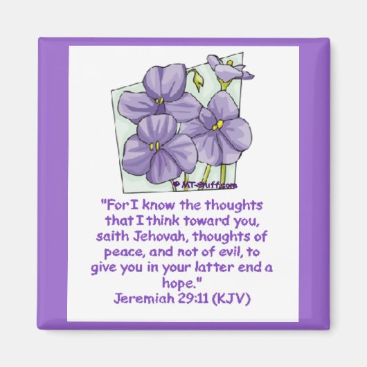 Jeremiah 29:11 magnet (Vorne)