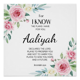 Jeremiah 29:11 Persönliche Gestaltung der rosa Ros Poster