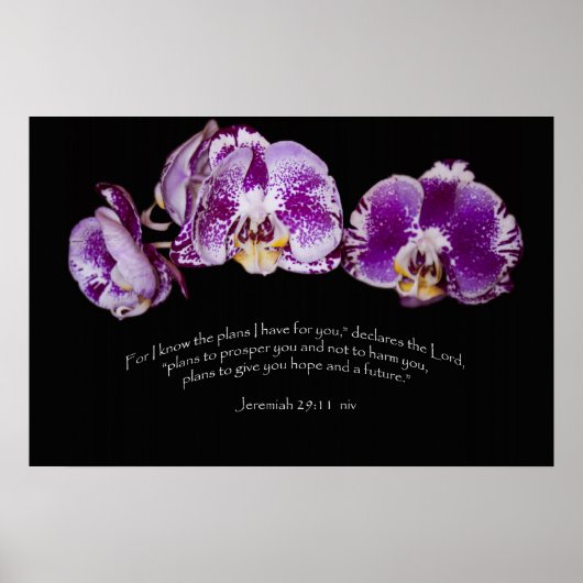 Jeremiah 29:11 poster (Vorne)
