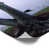 Jeremiah 29:11 Scripture Poster Print (Ecke)