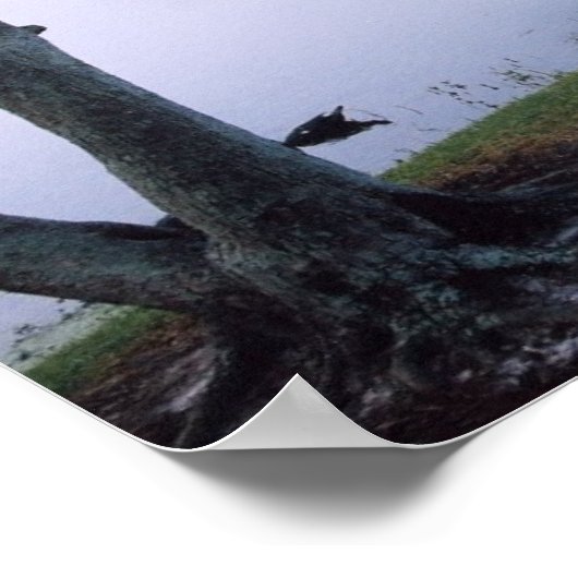 Jeremiah 29:11 Scripture Poster Print (Ecke)