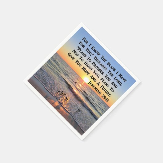 JEREMIAH 29:11 UHR SERVIETTE (Ecke)