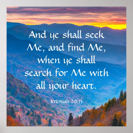 Jeremiah 29:13 poster (Vorne)