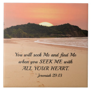 Jeremiah 29:13 Seek Me with all Your Heart Bible Fliese