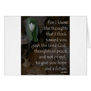 Jeremias-29:11hoffnung während der Zukunft
