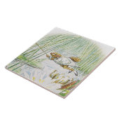 Jeremy Fisher macht einen großen Sprung von Beatri Fliese (Seite)