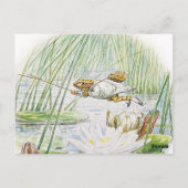 Jeremy Fisher macht einen großen Sprung von Beatri Postkarte (Rückseite)