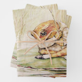 “Jeremy Fisher on a Lilypad” by Beatrix Potter Geschenkpapier Set (Beispiel)