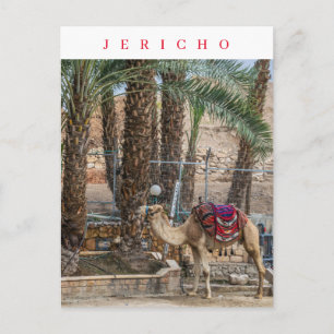Jericho Kamel-Ansicht Postkarte