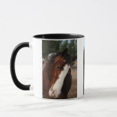 JERICHO TASSE (Links)