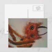 Jerk Monster Postkarte (Vorne/Hinten)