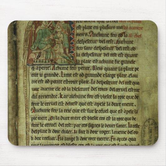 Jerome: Ein Doktor, der einen Patienten besucht Mousepad (Vorne)