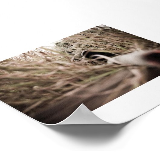 jerotisch poster (Ecke)