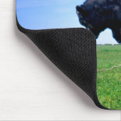 Jersey Bull in Jersey, Kanalinseln. Mousepad (Ecke)