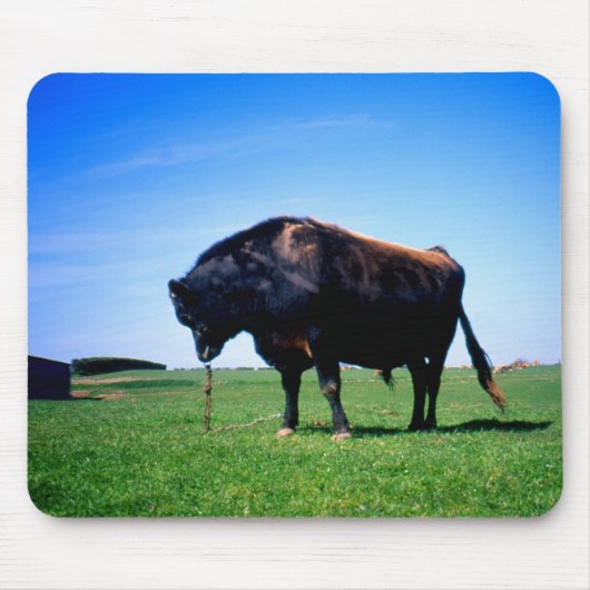 Jersey Bull in Jersey, Kanalinseln. Mousepad (Vorne)