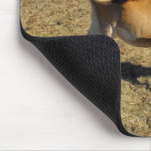 Jersey calf mousepad (Ecke)