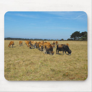Jersey calves and young bules mousepad