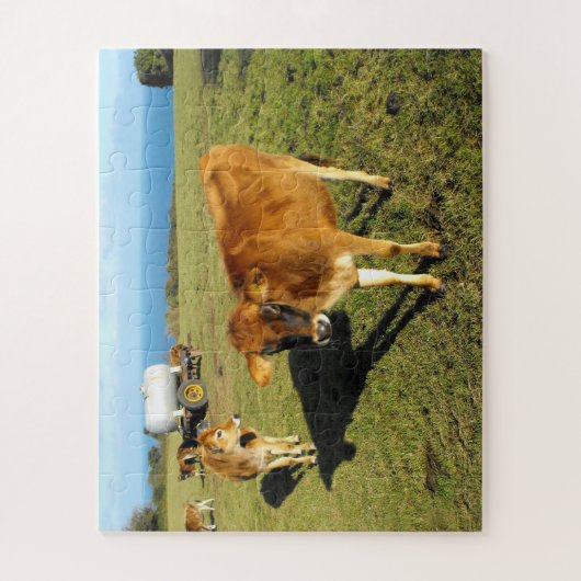 Jersey calves in Jersey Puzzle (Vertikal)