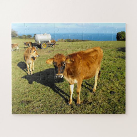 Jersey calves in Jersey Puzzle (Horizontal)