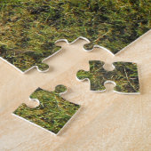 Jersey calves in Jersey Puzzle (Seite)