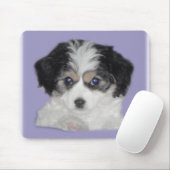 Jersey Cavachon Mousepad (Mit Mouse)
